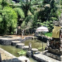 Sacred lotus pond temple, adjacent to Villa