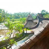 Roofline/ Rice Terrace view