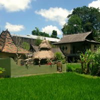 Complete view from rice terraces